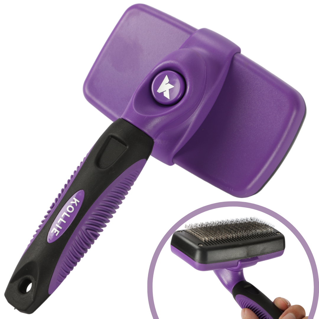 Purple Dog Slicker Brush