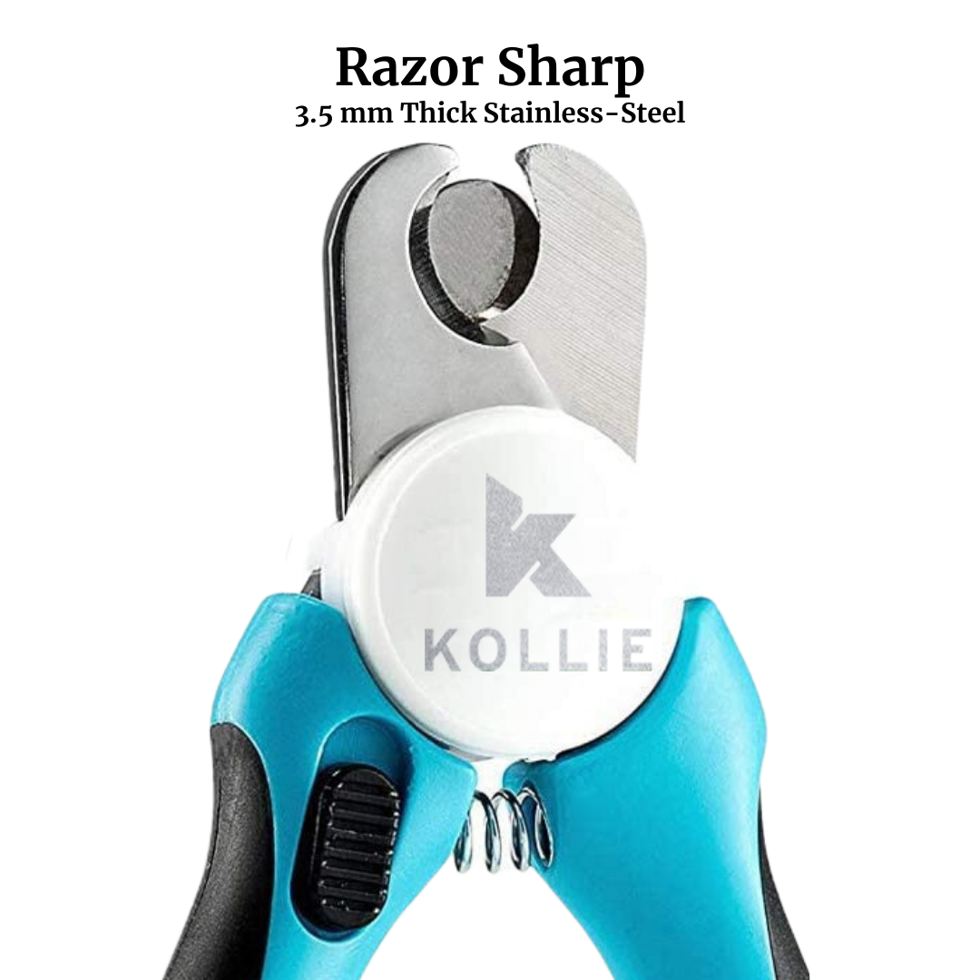 Kollie Blue Pet Nail Clipper